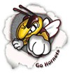 Image result for licking heights hornets logo