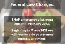 SNAP Emergency Allotments Ending March 1, 2023; Supplemental Assistance Available through Food Pantry Network of Licking County