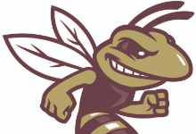 Hornet logo