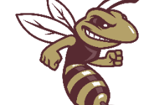 Hornet logo for Licking Heights