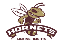 Hornet logo