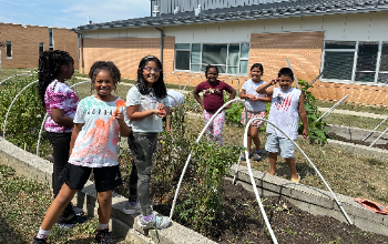 Students picking peppers in an outdoor garden