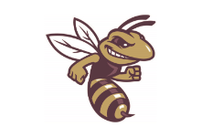 Hornet