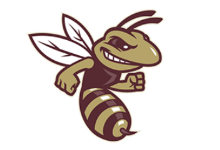 Hornet logo