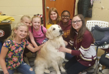 In Memoriam: Hank the Therapy Dog