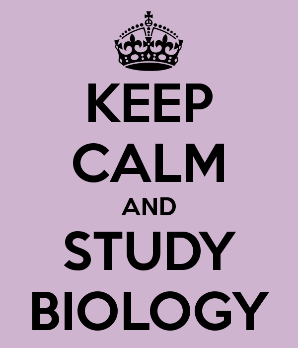keep calm and study