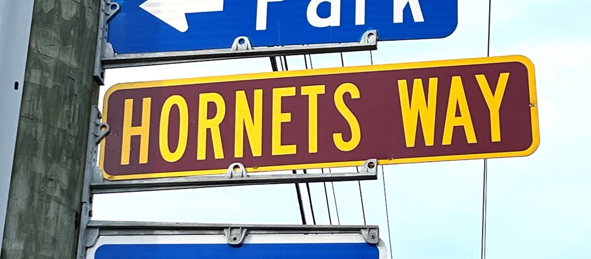 HornetsWay