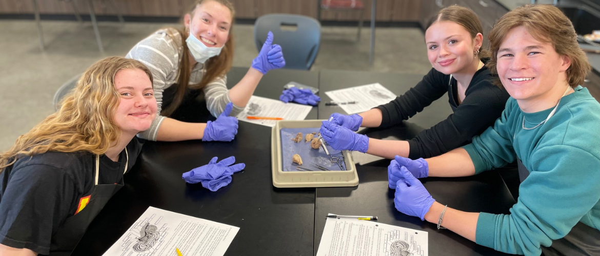 High school dissection in Anatomy