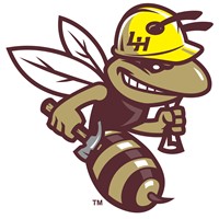 Hornet wearing a hard hat